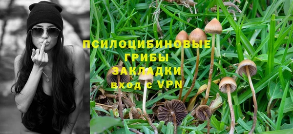 шишки Беломорск
