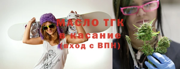шишки Беломорск