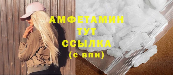 шишки Беломорск