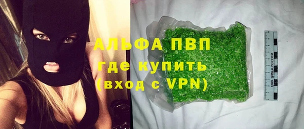 прущие грибы Карталы