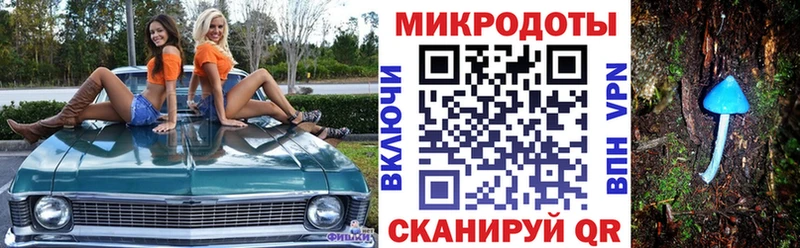 Галлюциногенные грибы Cubensis  купить закладку  Высоковск 